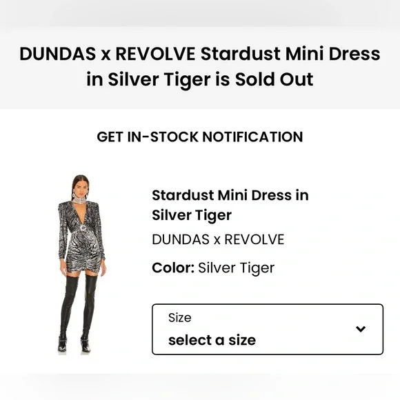 DUNDAS X REVOLVE Stardust Mini Dress in Silver Tiger - Picture 4 of 7